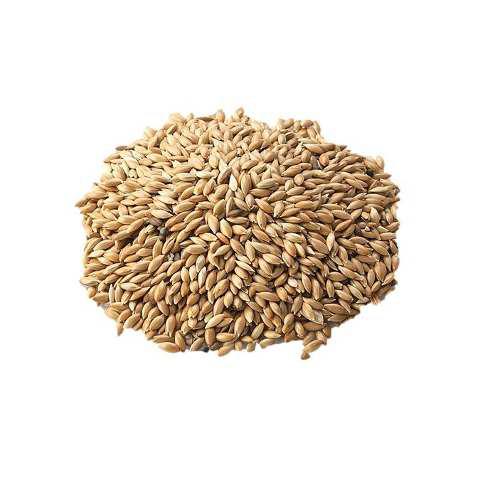 Revoltura para Pajaros 1 KILO