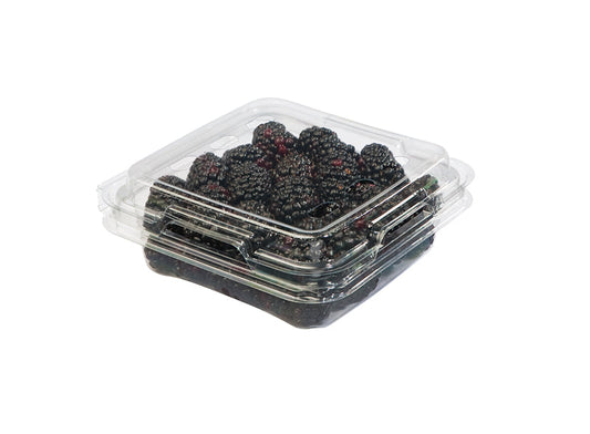 Caja de Zarzamora 1 pieza (170gr)